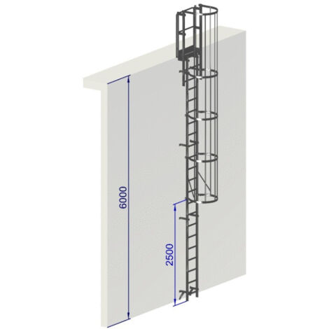 Échelle à crinoline aluminium 6 mètres – Conception sans soudure – Installation rapide sur site – Norme EN ISO 14 122-4