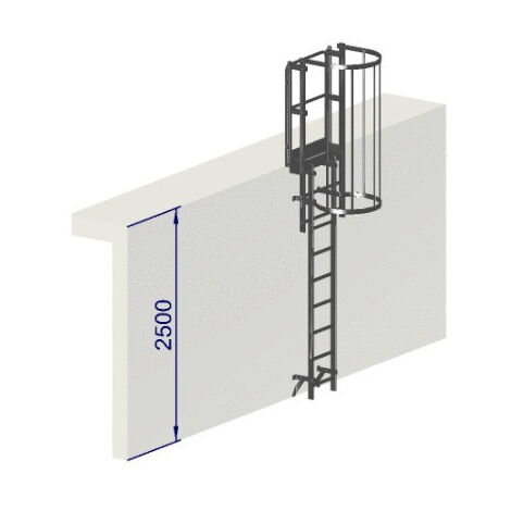 Echelle a crinoline hauteur à franchir 2,5 mètres avec arceaux Norme NF 85-016