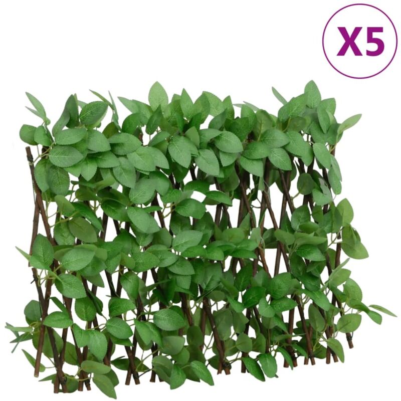 glücksfeder substrat Zamioculcas zamiifolia