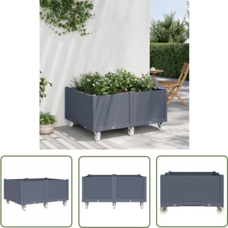 The Living Store Pflanzkasten mit Rollen Grau 100x80x54 cm PP