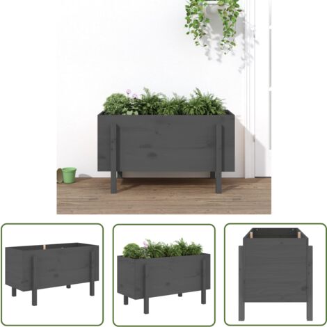 The Living Store Hochbeet Grau 101x50x57 cm Massivholz Kiefer Holz