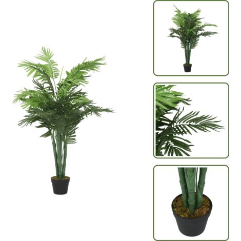 caryota mitis zimmerpflanze Fischschwanzpalme - Caryota mitis - Brennpalmen