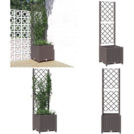 Pflanzkübel mit Rankgitter Braun 40x40x136 cm PP Blumentopf Kübel