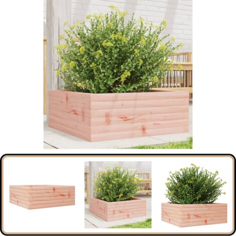 Pflanzkbel 60x60x23 cm Massivholz Douglasie - Holzkiste - Hochbeet -  Blumengarten - Gartendekoration - Pflanztopf