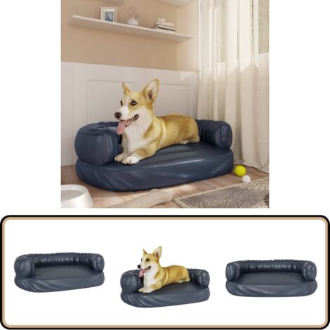 XXL Hundebett Mit Orthopädischem Schaum (183 X 101 Cm) – Wasserdicht, Mit Decke Und Tragegriff, Elfenbein