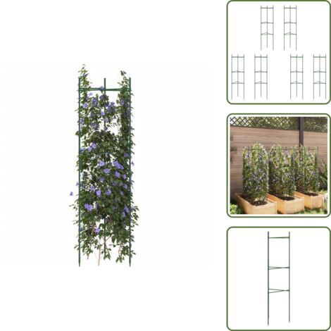 Hicarer Tomatenkäfige Bis 165 Cm – Verstellbare Rankhilfe Für Gartenpflanzen