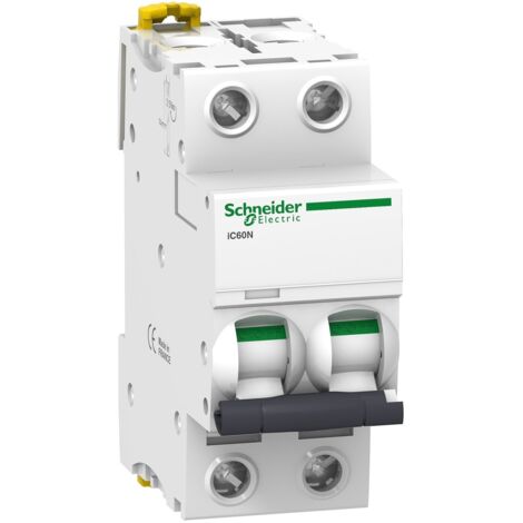 A9f75204 - Disjoncteur Courbe D Bipolaire 4a - 2p - 50ka - à Vis - Schneider Electric Acti9 Ic60n