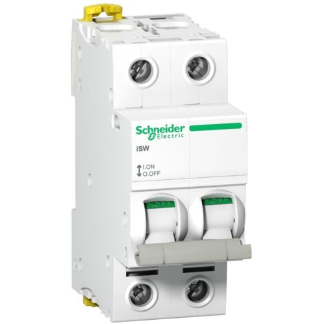 Schneider Electric – Interrupteur-sectionneur 2P 100A 415V CA – Coupure pleinement apparente – Indication ON/OFF – A9S65291