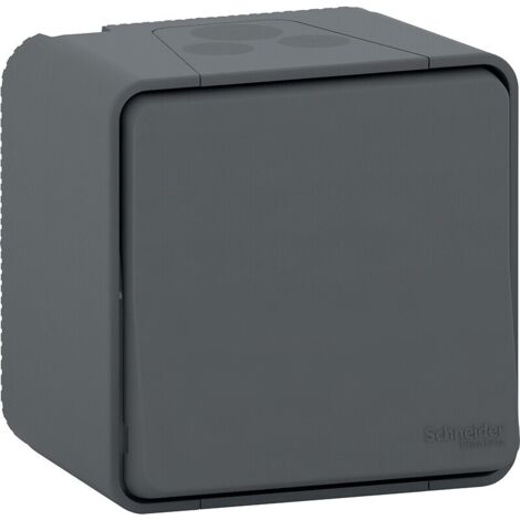 va et vient - double - gris - saillie - mureva styl - schneider electric mur35022