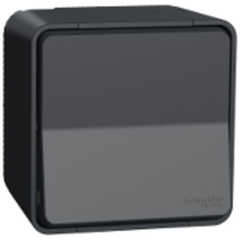 Mureva Styl - Interrupteur bipolaire - saillie - IP55 - IK08 connex auto - gris - MUR35033