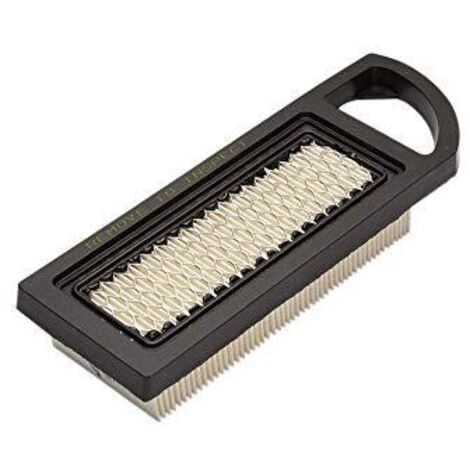Cartuccia filtro aria Briggs e Stratton 795115