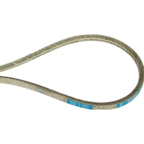 Cinghia Trasmissione Per Tapis Roulant Proform Crosswalk 365S + Lubrificante Omaggio (1 Oz)