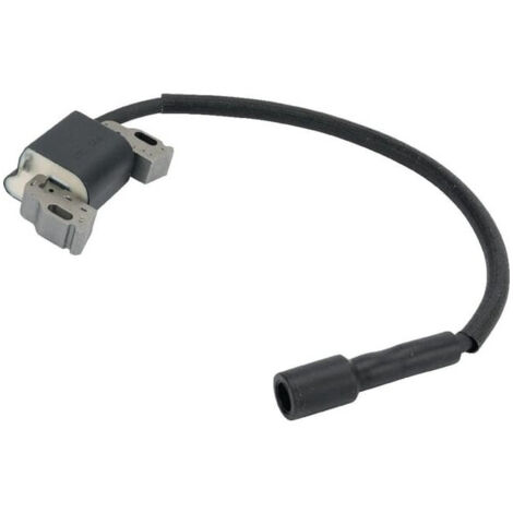 Bobina Accensione Motore Briggs & Stratton- Di Spina Gianvito - Foto 10