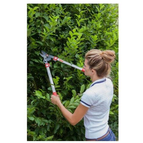 Troncarami a taglio netto Wolf OS650