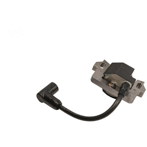 Accessorio Decespugliatore, Nuova Bobina Di Accensione Per FS 45 FS38 Fs45 Fs55 Bobina Di Accensione Ad Alta Tensione 4140 400 1300 86427178