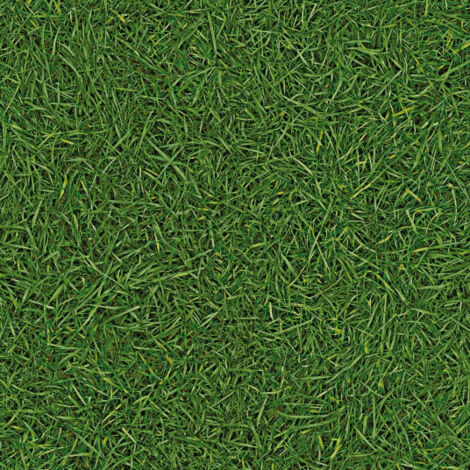 Sol Vinyle Nature - imitation Gazon - Rouleau de 2m x 15m (1/5)