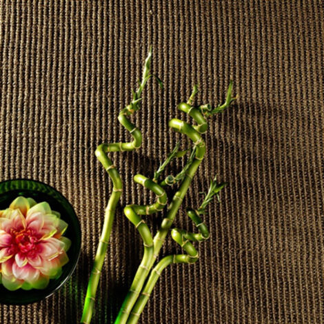 Sisal Yucatan - Cacao - Rouleau de 4m x 1m