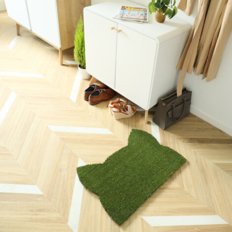 Paillasson Coco - Chat Miaou - Vert - 73 x 52 cm (1/5)