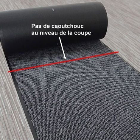 Tapis paillasson pour porte d'entrée - Anthracite - 90 x 150 cm