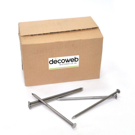 Décoweb – Boîte de 5 kg de clous droits 140mm – Pour fixation gazon synthétique sur sols meubles – Diamètre 5,5mm – Tête 9mm