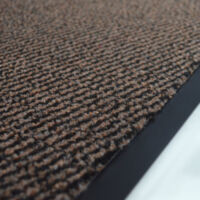 Biscpro Tapis de Porte 50 x 80 cm Paillasson d'Entree Interieur et Extérieur Tapis Antidérapant et Absorbant, Lavable, Tapis pour Intérieur, Extérieur, Chambre, Cuisine, Entrée, Couloir