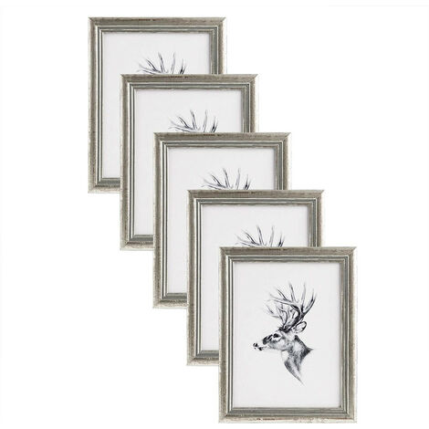 WOLTU 5er Set 30x40 cm Bilderrahmen Artos Stil Holz Rahmen Fotogalerie Glasscheibe, Silber
