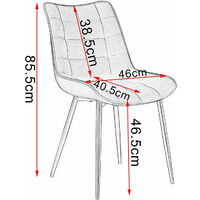 2er Set Esszimmerstühle Küchenstühle Sitzfläche aus Samt Metallbeine BH142rs-2