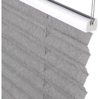 WOLTU Plissee ohne Bohren Klemmfix Faltrollo Jalousie, Plisseerollo Crushed Optik Sichtschutz und Sonnenschutz Easyfix lichtdurchlässig Rollo für Fenster und Tür, Grau 55x100cm (BxH)