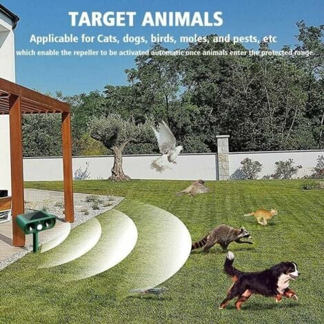 Répulsif solaire à ultrasons pour chats Répulsif pour chats d'extérieur Sensibilité et fréquence réglables Répulsif à ultrasons pour chats pour repousser les parasites Protecteur de jardin