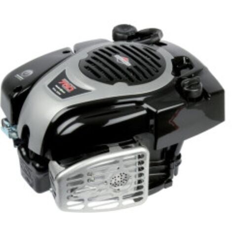 Briggs Und Stratton Motor