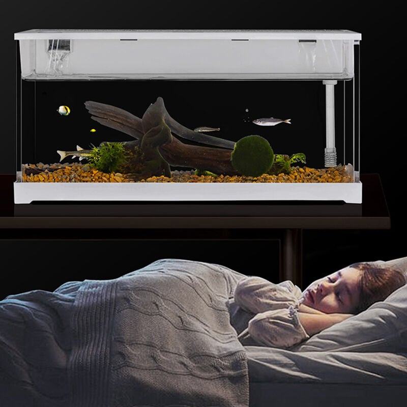 Cuvette d’aquarium en acrylique transparent pour les petits poissons rouges, système de Filtration à circulation supérieure, pompe à eau silencieuse, décoration de bureau à domicile 2