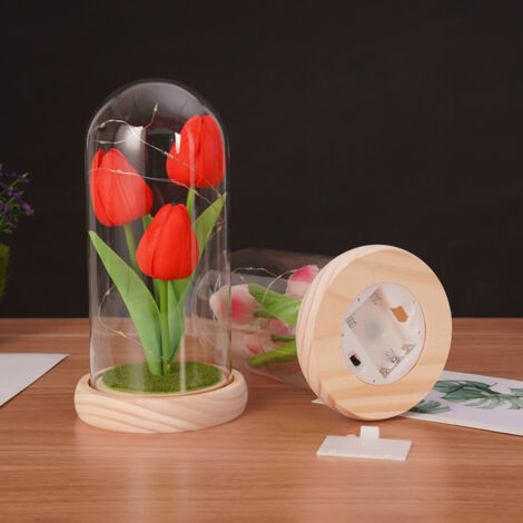 WYRIAZA Rose Éternelle Sous Cloche Avec LED - Cadeau Femme Maman Anniversaire Saint Valentin Fête Des Mères