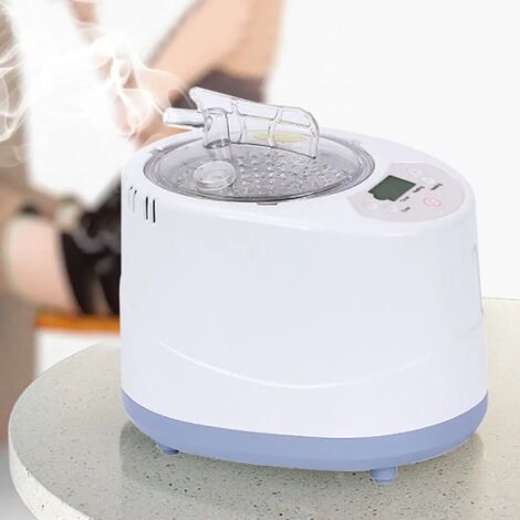 3L Sauna Dampferzeuger Dampfsauna mit Timer Heimsauna Tragbare Wärmekabine SPA Saunakabine Remote (1/5)