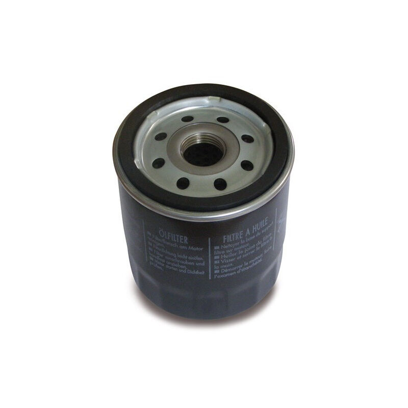 Filtre à Carburant Et Pompe Pour Pelouse Briggs & Stratton - Foto 2