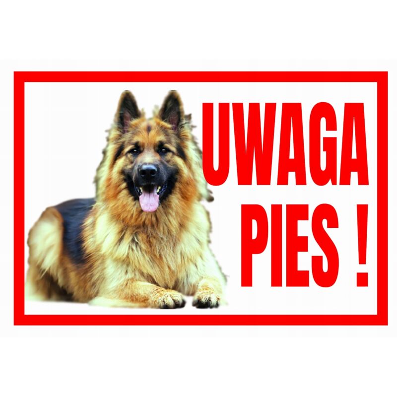 12 "x8" Avvertimento Americano Bullo Cane Segno Di Metallo - Foto 13