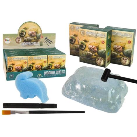 Set di conchiglie acquerellate su illustrazioni isolate mare clipart