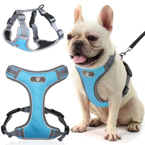Pettorina da addestramento per cani ASTRO, blu, taglia M (1/5)