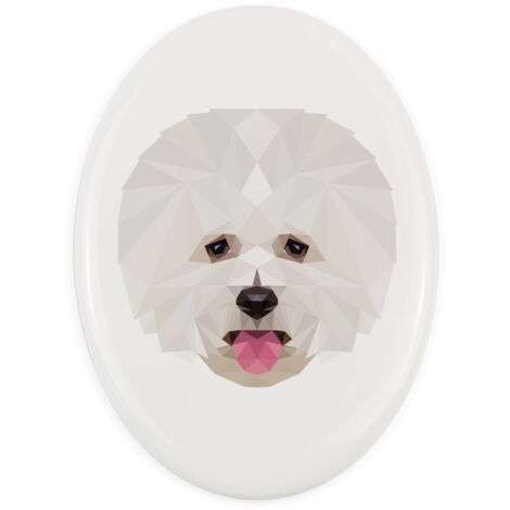 Bichon Frise, cane di Tenerife - un piatto con una foto e un'iscrizione geometrica di Art-Dog