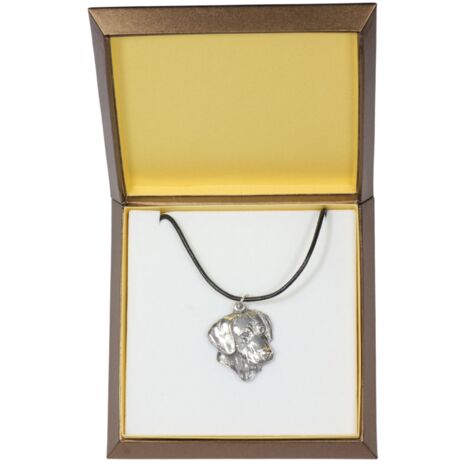 Rhodesian Ridgeback, cane leone africano - Collana per cani in una scatola regalo, medaglione placcato in argento per un fan dei cani, pendente impressionante di Art-Dog