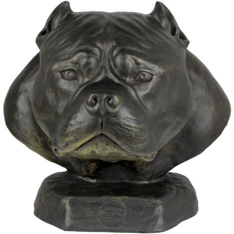 VCCWYQK Viking Wolf - Collana con urna per cenere, per uomini, per ceneri umani/animali domestici, Metallo, Nessuna pietra preziosa