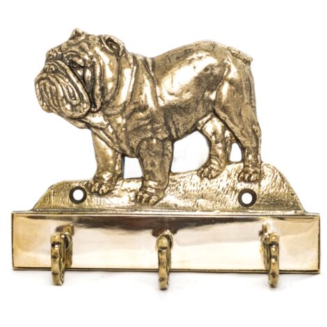 WEVENI Portachiavi carino in acrilico a forma di rana, portachiavi per auto, portafoglio, borsa, ciondoli, gioielli, cose strane, rana, regali per donne e ragazze, Rosso, 41mm x 40mm