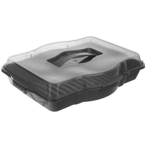 Contenitore rettangolare per snack e dolci 45x35 cm 154033 (1/5)