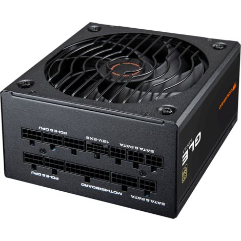 ENERMAX Revolution III 1000 Watt | Alimentatore completamente modulare ATX 3.1 | PCIe 5.1 | 80 Plus Gold | ventola FDB silenziosa da 120 mm | Condensatori 105°C | ERV1000G-AHG-MAC