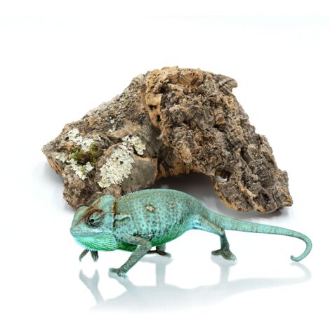 BioCork Bits trucioli di corteccia di quercia da sughero 1 kg