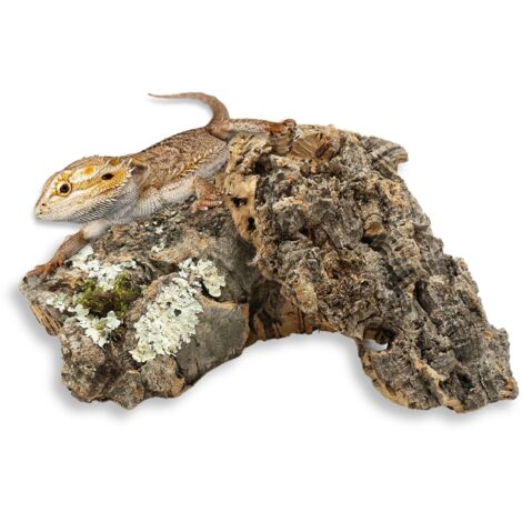 BioCork Bits Corteccia di quercia da sughero in pezzi da 500 g