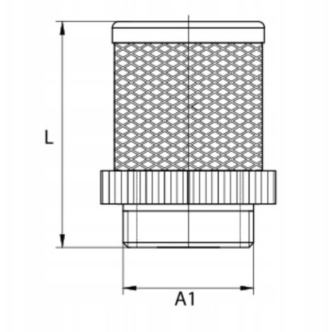 Valvola Di Ritegno Con Filtro Di Aspirazione A Rete Per Tubo Acqua 1 Pollice (25 Mm) | In Ottone Con Filtro Inox | Per Irrigazione, Giardino, Piscina
