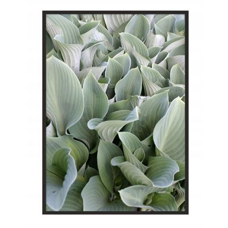 QUADRO INCORNICIATO 53x73 cm Foglie P1039 (1/4)