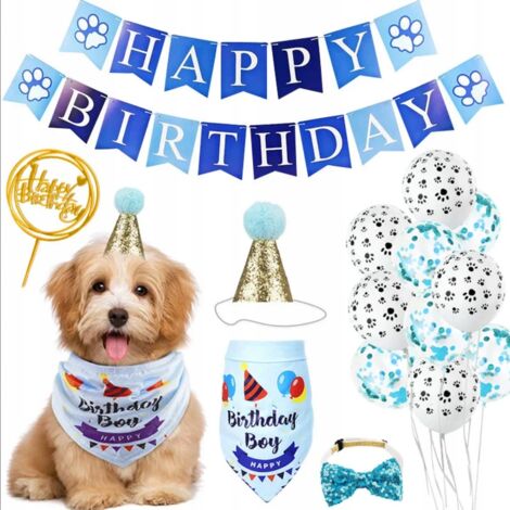 SET COMPLEANNO PER CANI Per Un Pacchetto Di Compleanno Per La Festa Del Tuo Animale Domestico Blu 88414172