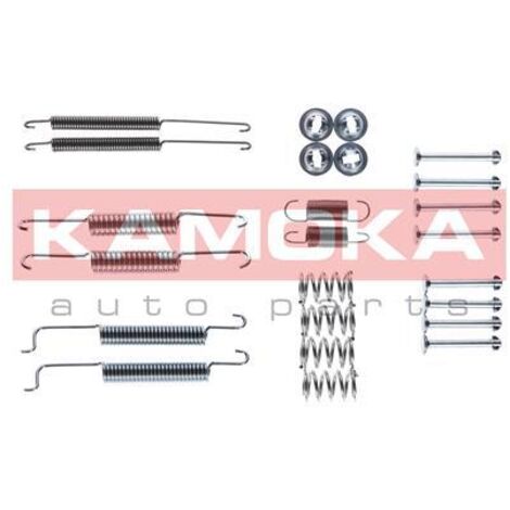FEBI BILSTEIN 182157 Kit Accessori Ganasce Freno Per Retrotreno - Per Peugeot 206, Renault Clio, Twingo E Altri