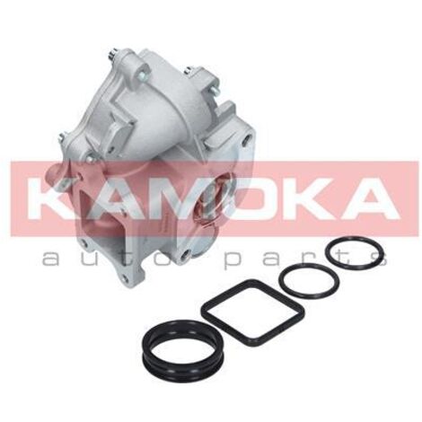 POMPA ACQUA T0049 KAMOKA (1/4)